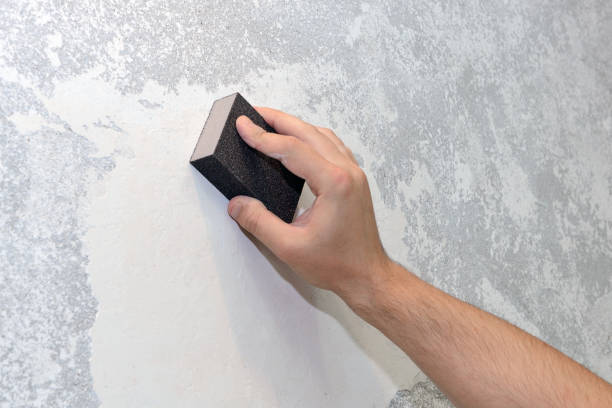 Best Commercial Mold Inspection  in Yorkville, WI