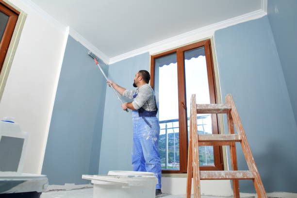  Yorkville, WI Mold Removal Pros