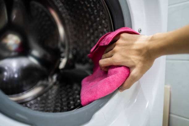 Professional Mold Removal in Yorkville, WI