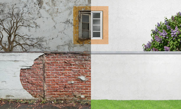 Best Mold Odor Removal Services  in Yorkville, WI