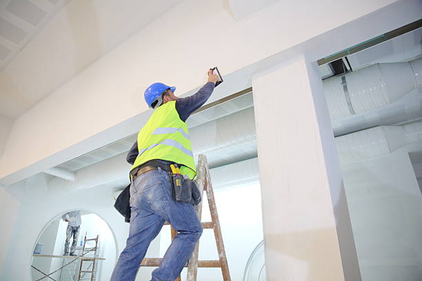  Yorkville, WI Mold Removal Pros