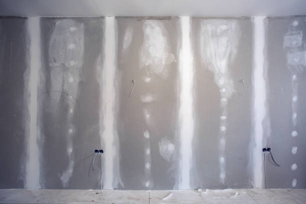 Best Mold-Related Health Consultation  in Yorkville, WI